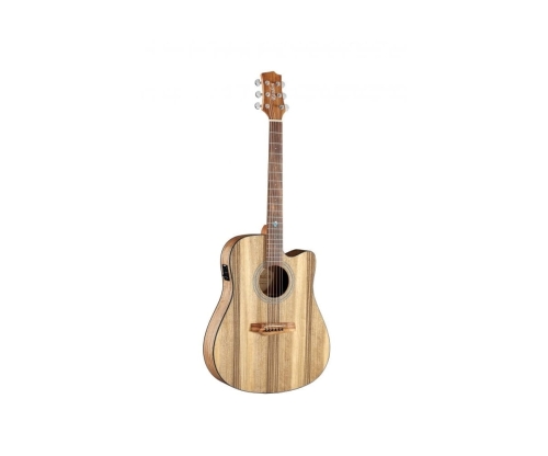 Randon RGI-PW1CE