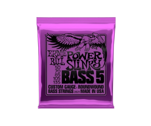 Ernie Ball 2821