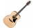 IBANEZ AAD50-LG