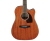Ibanez PF16MWCE-OPN
