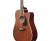 Ibanez PF16MWCE-OPN