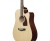 Ibanez PF16WCE-NT