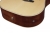Ibanez PF16WCE-NT