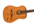 Fender Highway  Dreadnought MAH RW