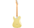 Fender Player II Telecaster HH MN HLY