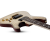 SCHECTER Omen Extreme 6, Gloss Natural