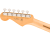Fender  Player II Stratocaster RW PWT