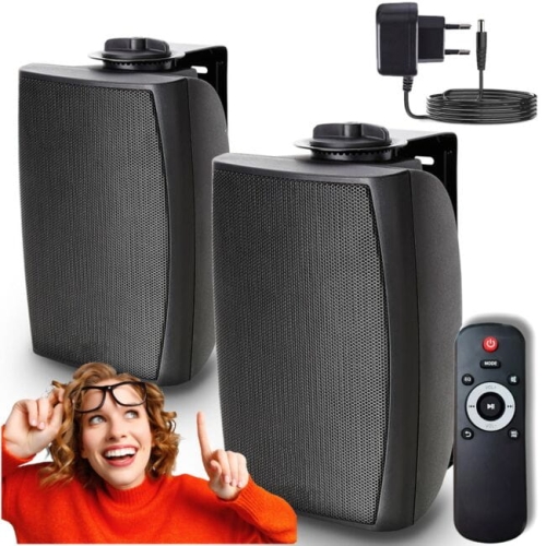 DNA ISM 1 kolumna głośnikowa ścienna sufitowa inst