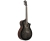 Ibanez AEWC16QA-TKH