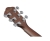 Ibanez AEWC16QA-TKH