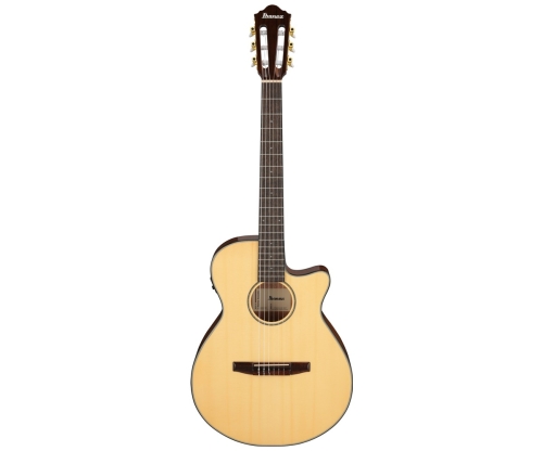 Ibanez AEG50N-NT