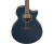 Ibanez AE100-DBF