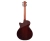 Furch Yellow Deluxe Gc-CR + LR Bagss Anthem CNR Active