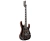 Ibanez GRG220PA1-BKB