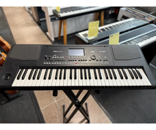Korg PA-300