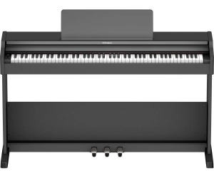 Roland RP-107