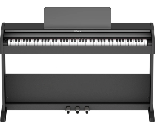 Roland RP-107