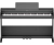 Roland RP-107