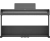 Roland RP-107
