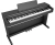 Roland RP-107