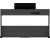 Roland RP-107