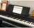 Roland RP-107