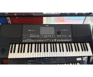 Korg PA-600