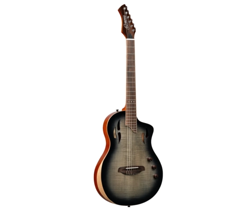 Ortega RTPG-LS 1