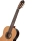 Ortega R19G