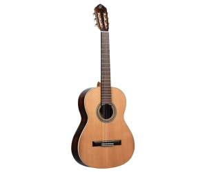 Ortega R19G